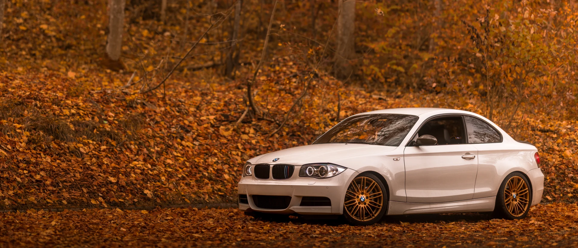 Weisses BMW Coupé frontal in einem herbstlichen Wald