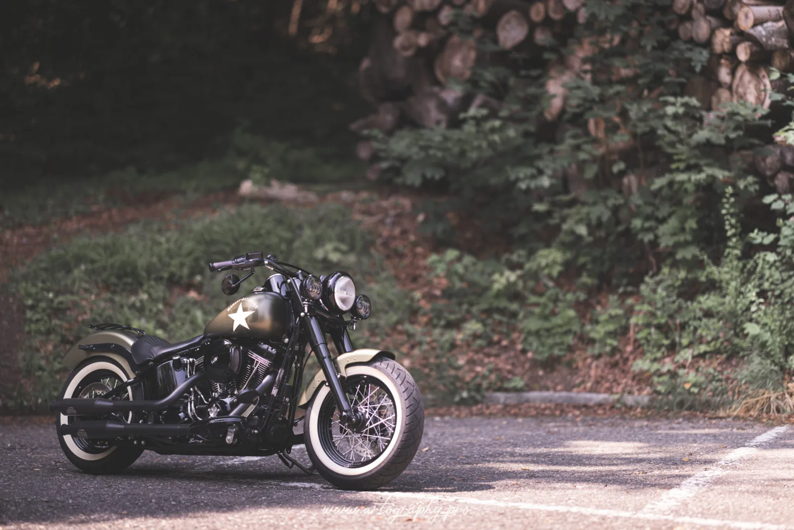 Custom Motorrad am Waldrand
